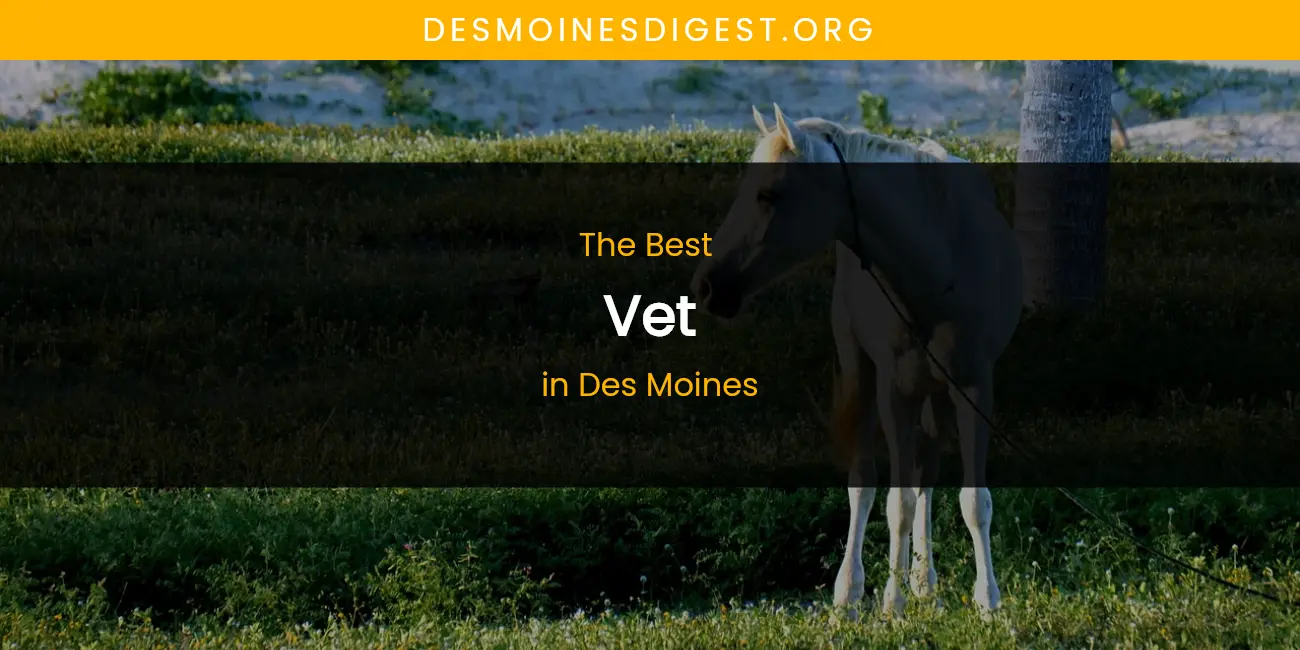 The Absolute Best Vet in Des Moines featured